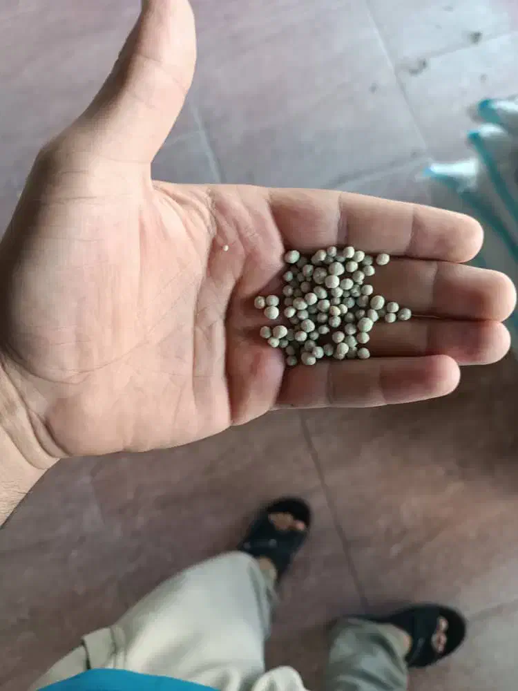 کود دی امونیوم فسفات رازی|خدمات باغبانی و درختکاری|کوهدشت, |دیوار