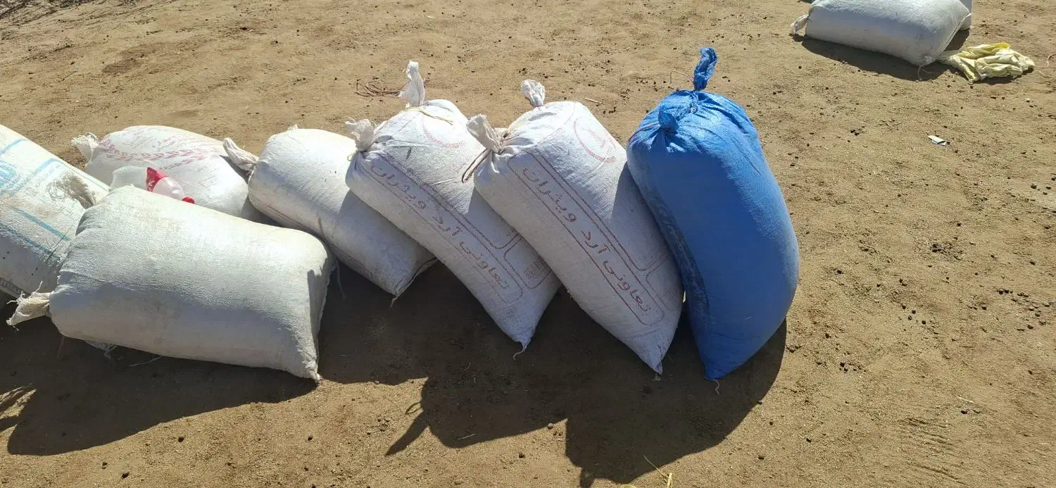 کود گوسفندای|خدمات باغبانی و درختکاری|بروجرد, |دیوار