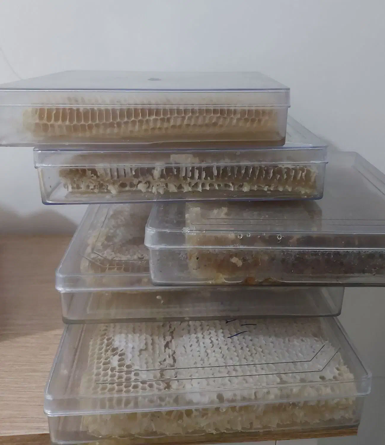 عسل طبیعی دامنه کوه سهند مستقیم از تولید کننده|خوردنی و آشامیدنی|تهران, ایرانشهر|دیوار