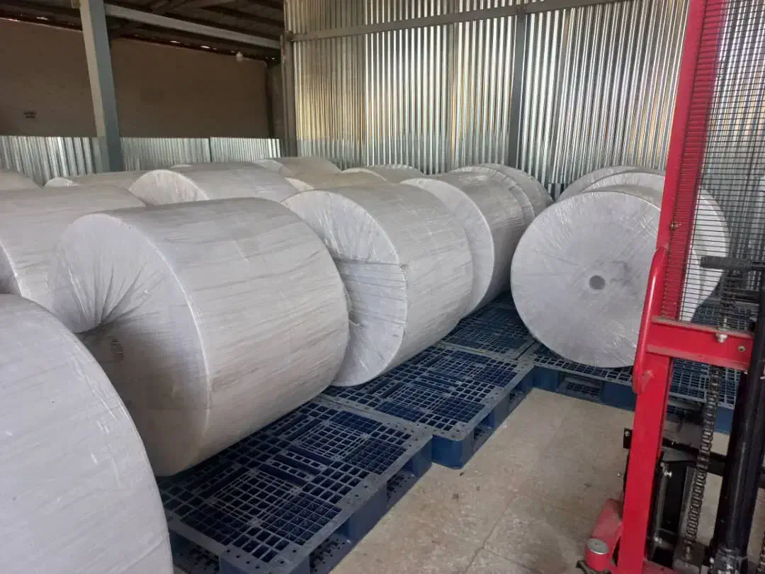 فروش و پخش تیشو بهداشتی دولایه بصورت خام و خردشده|مواد شوینده و دستمال کاغذی|اصفهان, سنجوانمره|دیوار