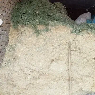 کاه سفید|لوازم جانبی حیوانات|زاغه, |دیوار