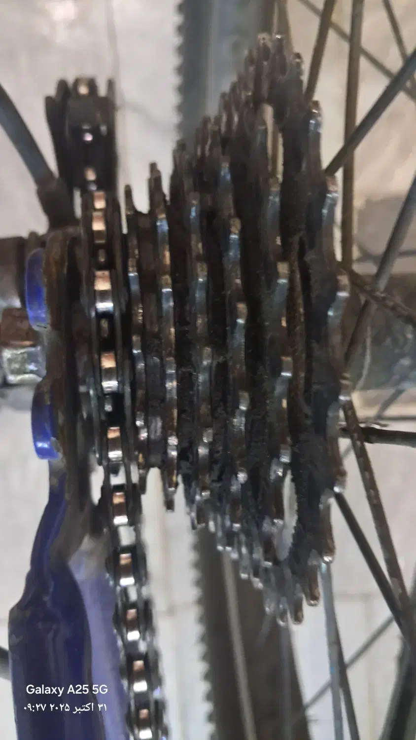 دوچرخه 24|دوچرخه، اسکیت، اسکوتر|قدس, شهرقدس|دیوار