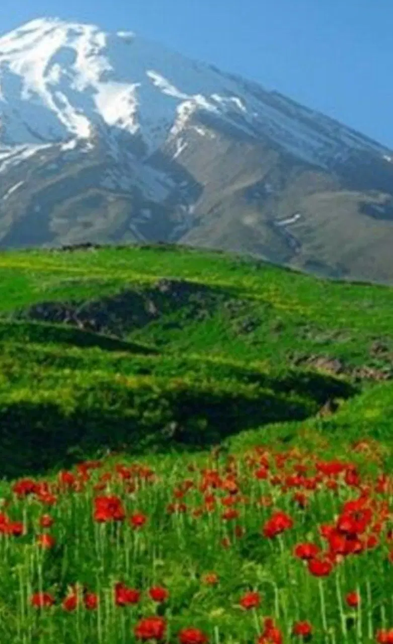 تور یکروزه اطراف تهران دماوند دشت لار|تور و چارتر|تهران, استقلال|دیوار