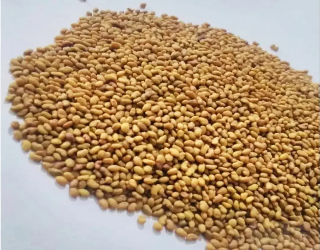 بذر یونجه|گل و گیاه طبیعی|فیروزآباد (آذربایجان), |دیوار