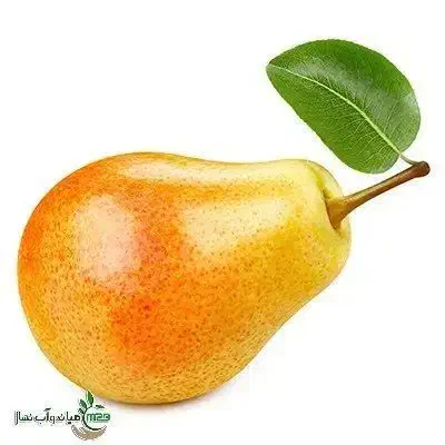 پیشفروش نهال گلابی بارتلت بصورت|خدمات باغبانی و درختکاری|بسطام, |دیوار