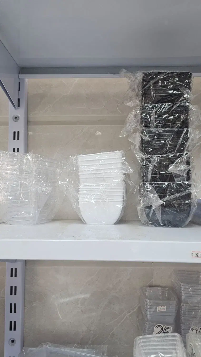 پیاله کوشا|ظروف نگهدارنده، پلاستیکی، یک‌بارمصرف|رشت, دیلمان|دیوار