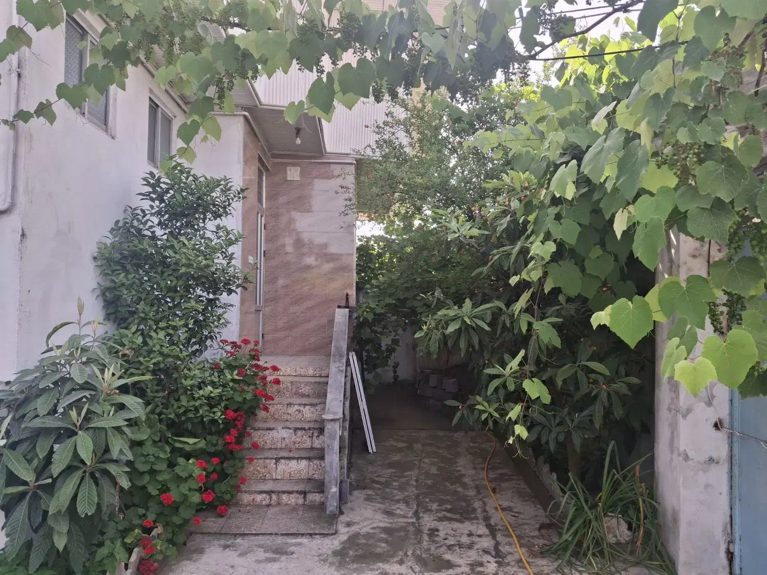 فروش ویلایی ،کاراموزی ،خ ۲۲بهمن ،نبش بست سوم|فروش خانه و ویلا|بندر انزلی, کارآموزی|دیوار