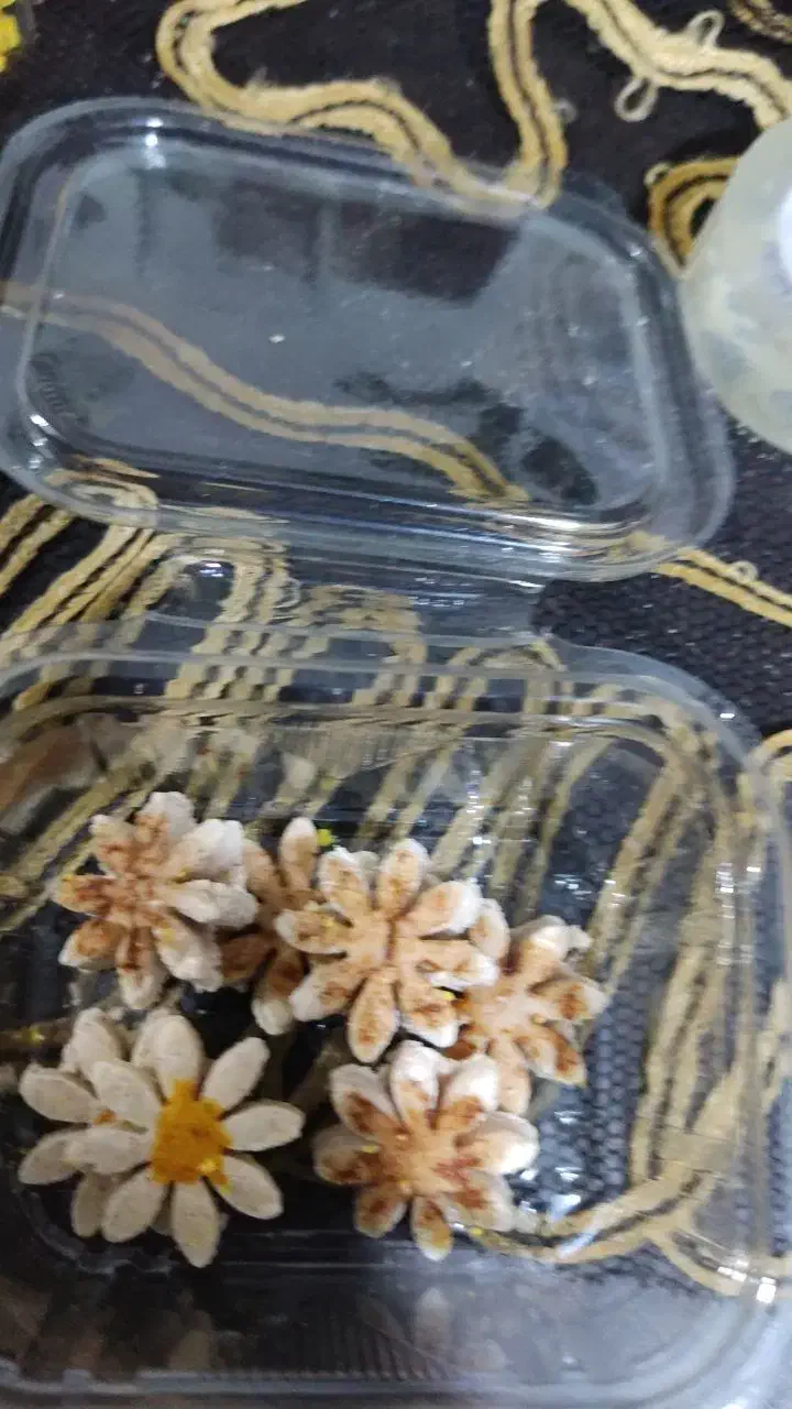 قند و نبات رژیمی|خوردنی و آشامیدنی|ماهان, |دیوار