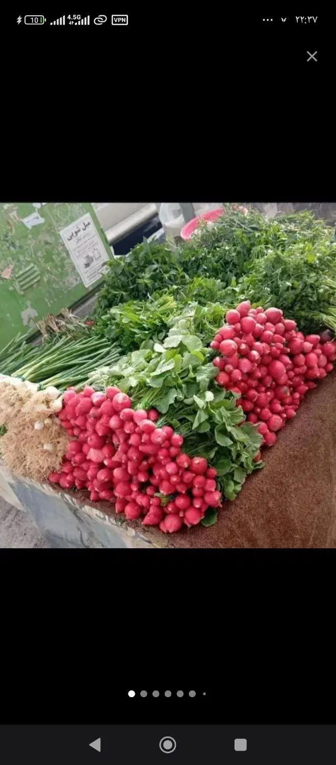 سبزی پاک کردن کار در منزل|خوردنی و آشامیدنی|نسیم‌شهر, |دیوار