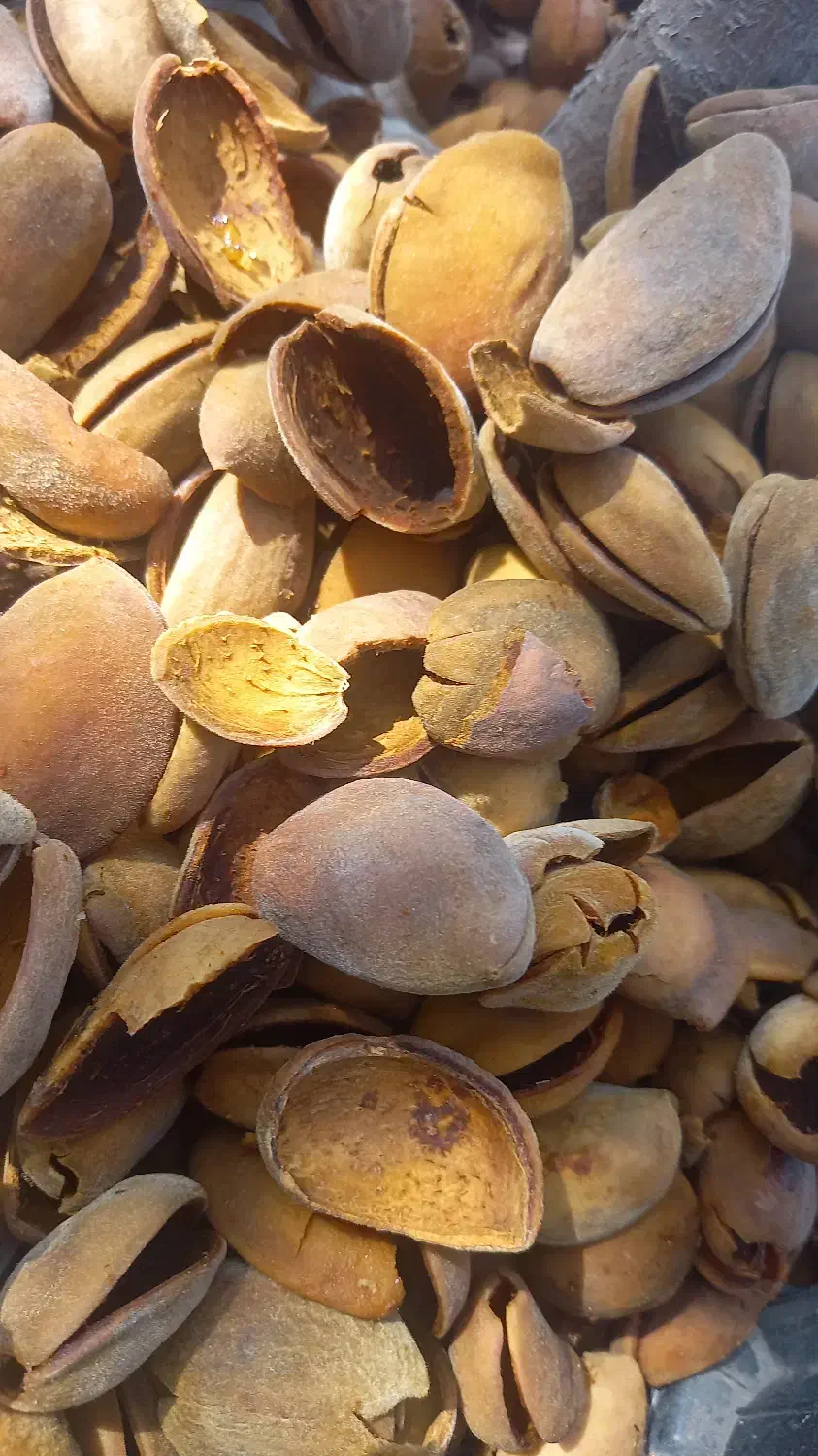 پوست بادام|خوردنی و آشامیدنی|دشمن زیاری, |دیوار