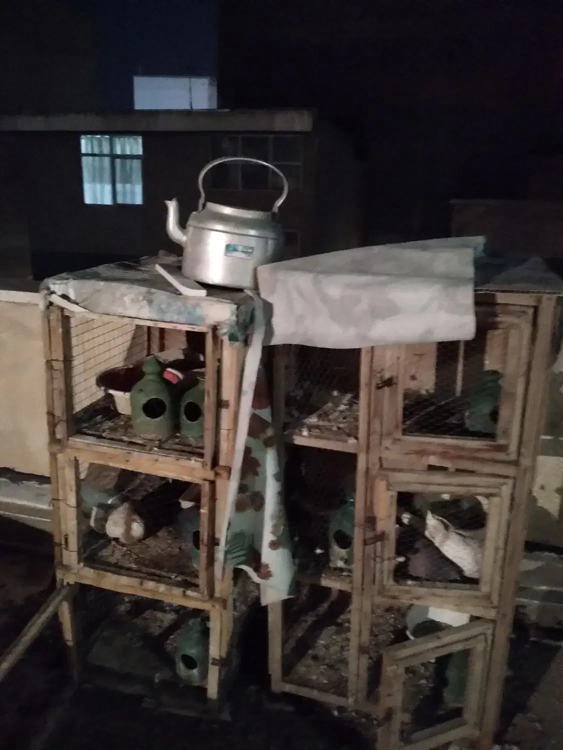 گنجه کبوتر جفت کنی|لوازم جانبی حیوانات|ری, شهید غیوری (ابن باویه)|دیوار