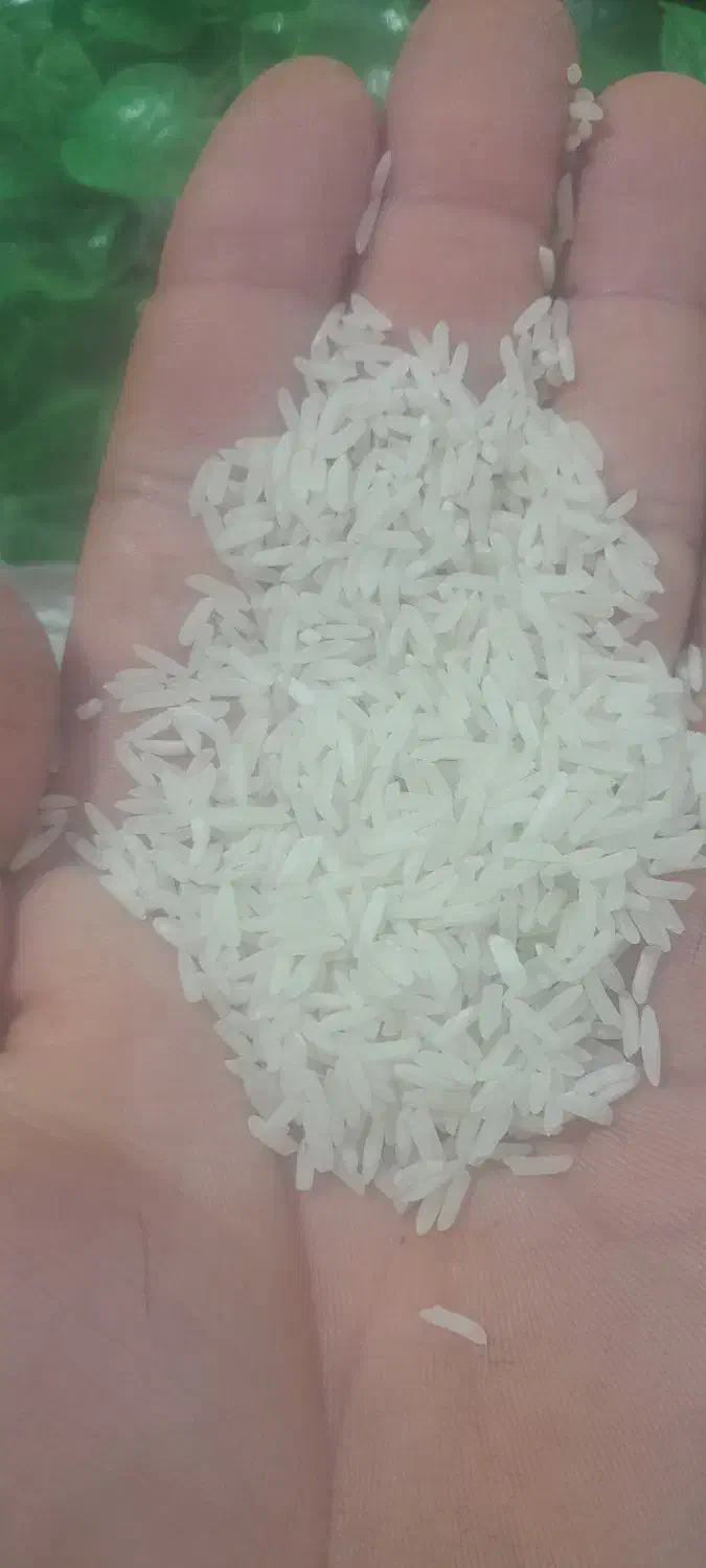 برنج خانگی مستقیم از کشاورز به قیمت عمده|خوردنی و آشامیدنی|الوند, |دیوار