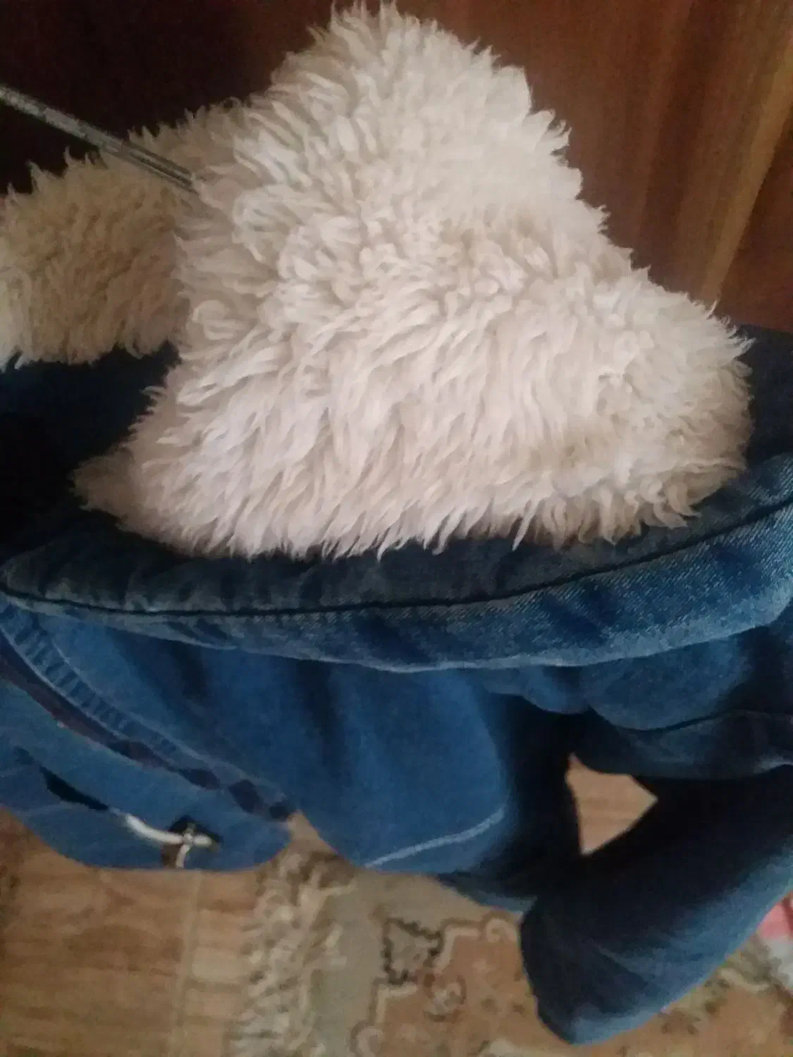 مانتو لی|لباس|رشت, ترمینال|دیوار