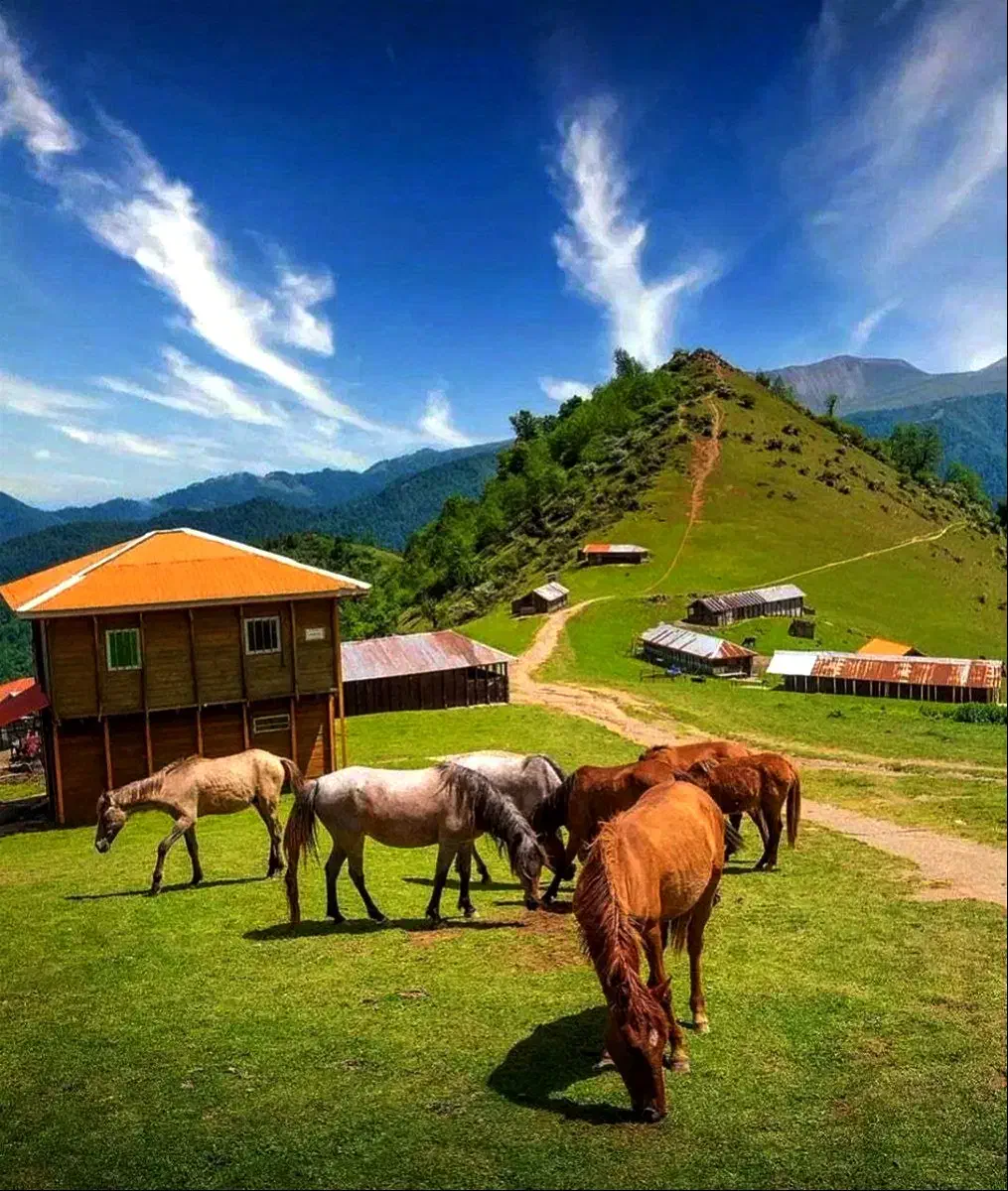 ویلایی 520متری 17متر حاشیه تربت حیدریه|فروش خانه و ویلا|تربتحیدریه, شهید بهشتی|دیوار