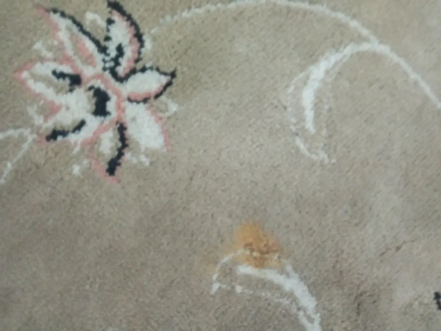 شناسناممگمشده مریم برغمدی|اشیا|سبزوار, چهارراه فرودگاه|دیوار