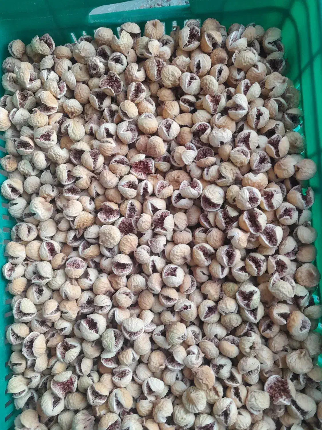 انجیر پرک|خوردنی و آشامیدنی|داراب, |دیوار