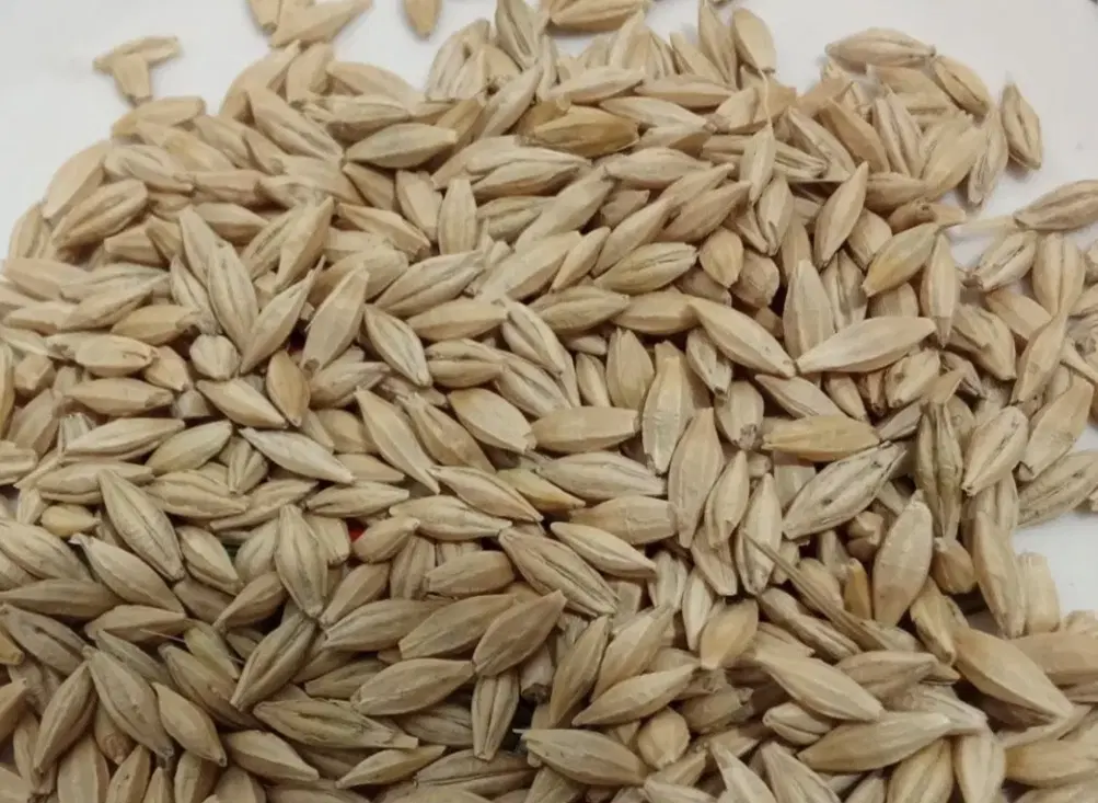 جو ۳ تن|خوردنی و آشامیدنی|مشگین شهر, |دیوار