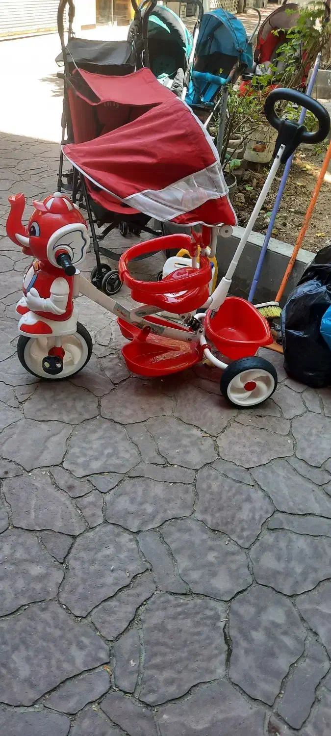 سه چرخه|دوچرخه، اسکیت، اسکوتر|ری, دولت‌آباد|دیوار