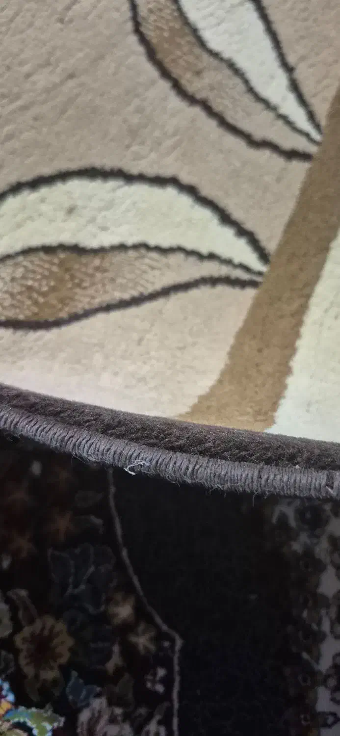 فرش ۹ متری بزرگمهر|فرش|تربت جام, مطهری|دیوار