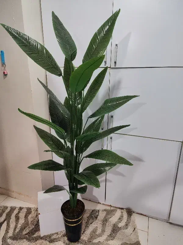 گلها و درختچه های مصنوعی|گل مصنوعی|رباطکریم, رباطکریم|دیوار