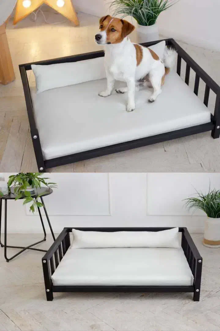 فروش انواع خانه و ظرف غذا برای سگ و گربه|لوازم جانبی حیوانات|نجف‌آباد, سعدی|دیوار