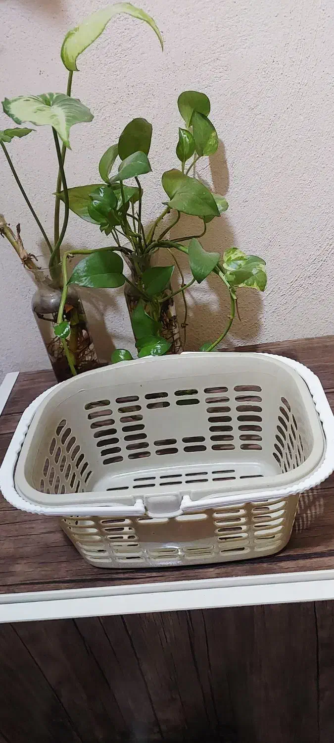 حراج ۳۰تومنی تعدادی ظروف و لوازم آشپزخونه|حراج|کازرون, |دیوار