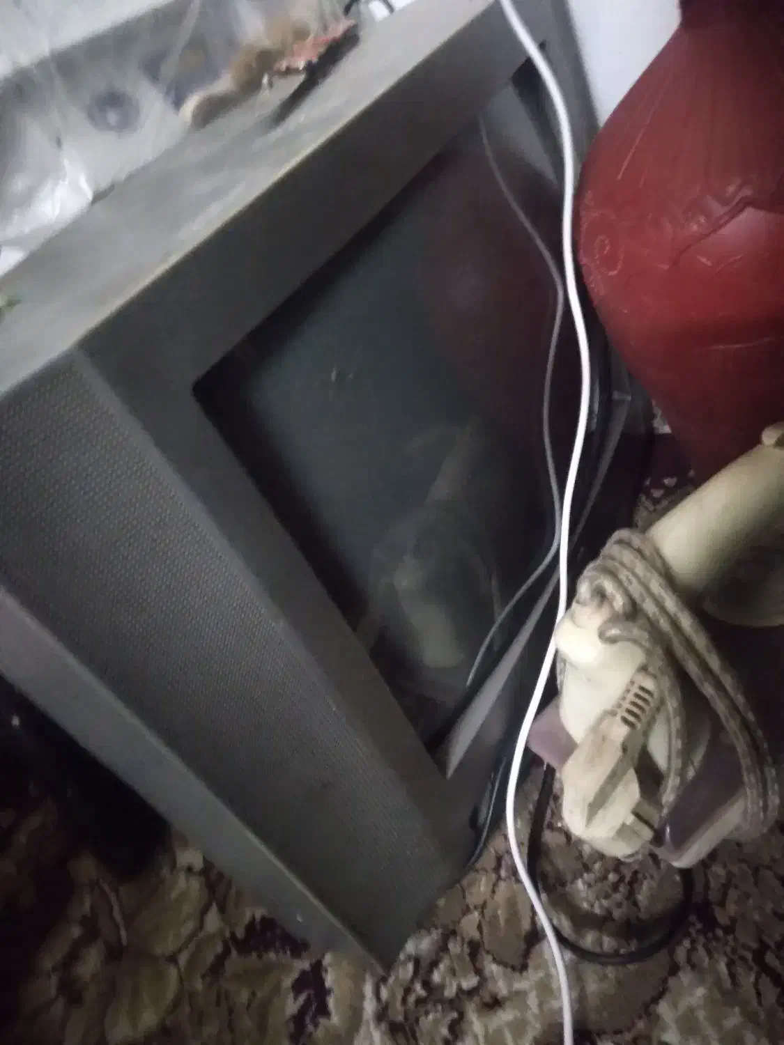 تلویزون ودیجیتال|تلویزیون و پروژکتور|رشت, استقامت ۱|دیوار