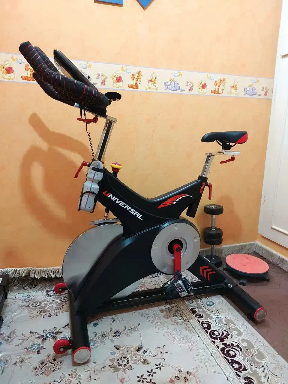 دوچرخه اسپینینگ حرفه ای باشگاهی 125 kg|تجهیزات ورزشی|مشهد, آیت الله کاشانی|دیوار