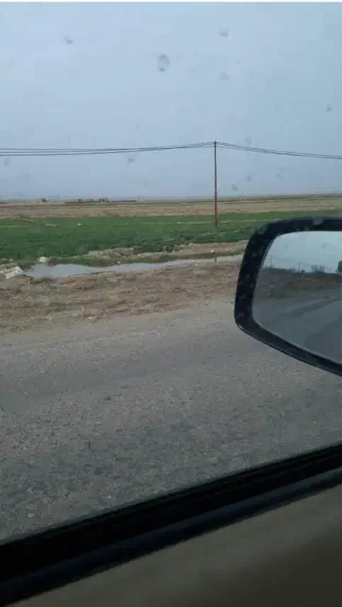 فروش فوری۱۰۰۰۰متربع زمین تم شولی کنار اسفالت بااب|فروش زمین و ملک کلنگی|حنا, |دیوار