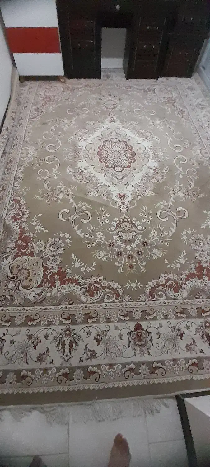 فرش ماشینی ۱۲ متری|فرش|سهند, |دیوار