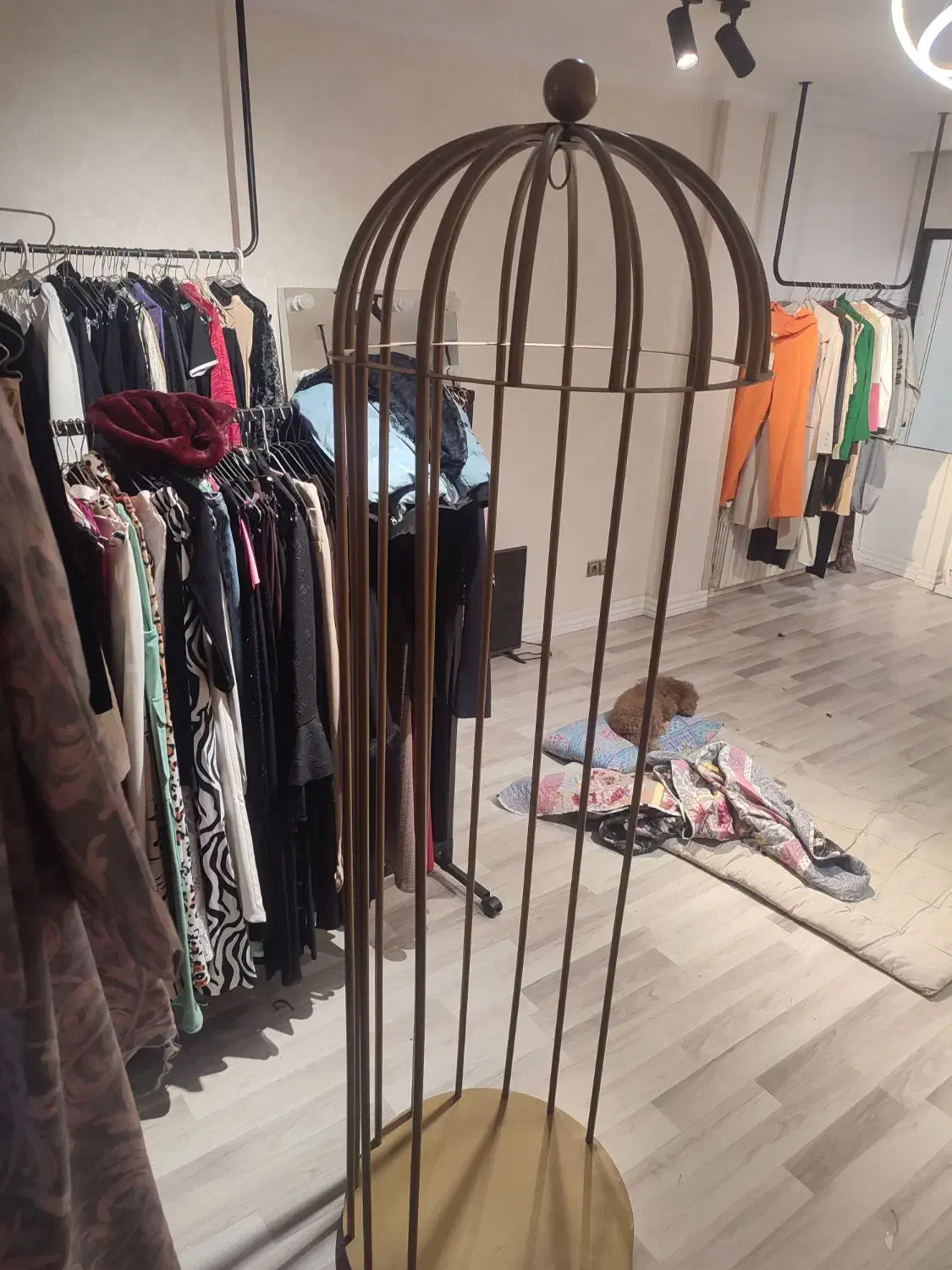 رگال مدل|فروشگاه و مغازه|تهران, جماران (نیاوران)|دیوار