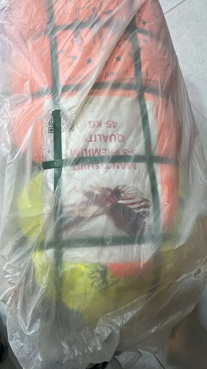 لباس پایزه زمستونه تاناکورا استوک اورج هودی سویشرت|لباس|تهران, افسریه شمالی|دیوار