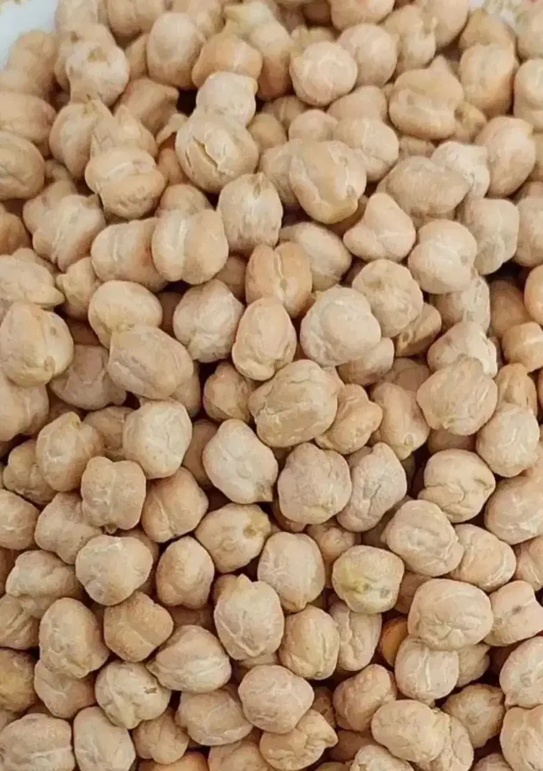 نخود|خوردنی و آشامیدنی|اسدآباد, |دیوار