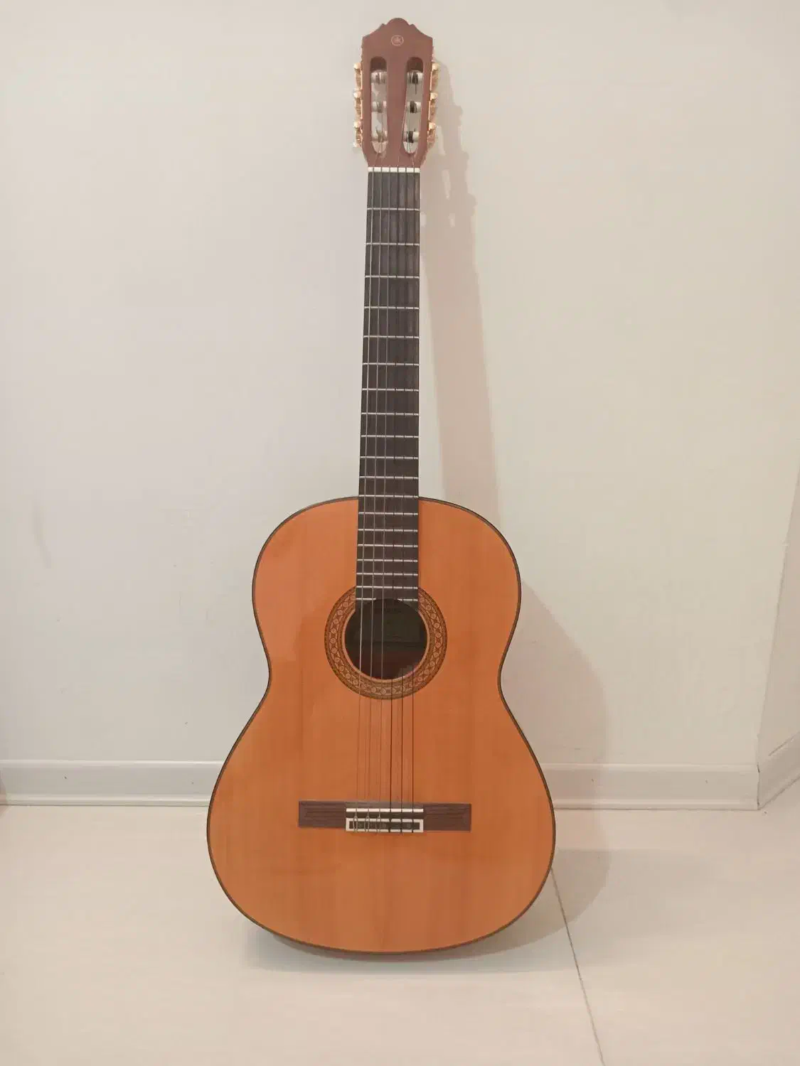 گیتار C80|گیتار، بیس، امپلیفایر|بجنورد, |دیوار