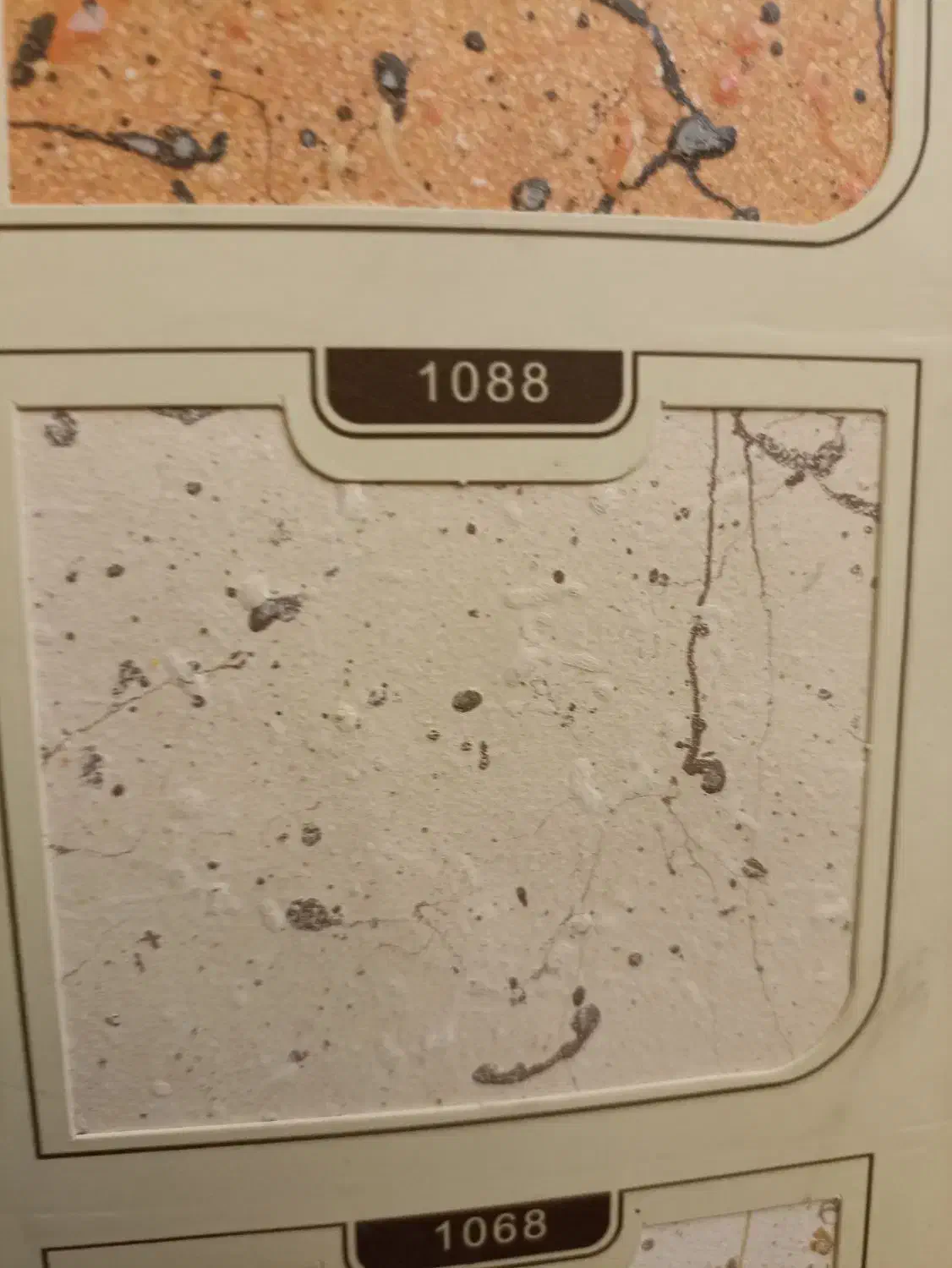 نقاش مولتی کالر|فعالیت داوطلبانه|مریوان, |دیوار