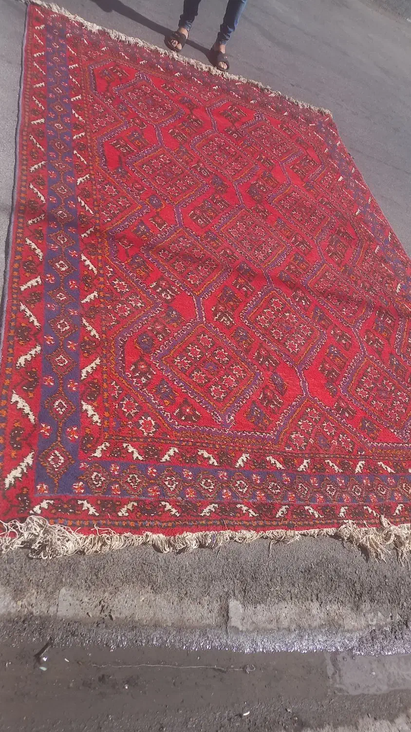 فرش دستبافت پشمی|فرش|شیراز, شهرک فرهنگیان|دیوار