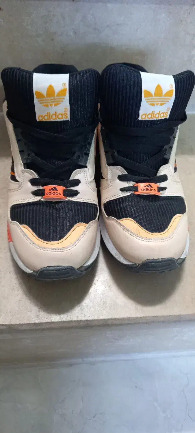 کفش|کیف، کفش، کمربند|شیراز, شهرک سعدی|دیوار