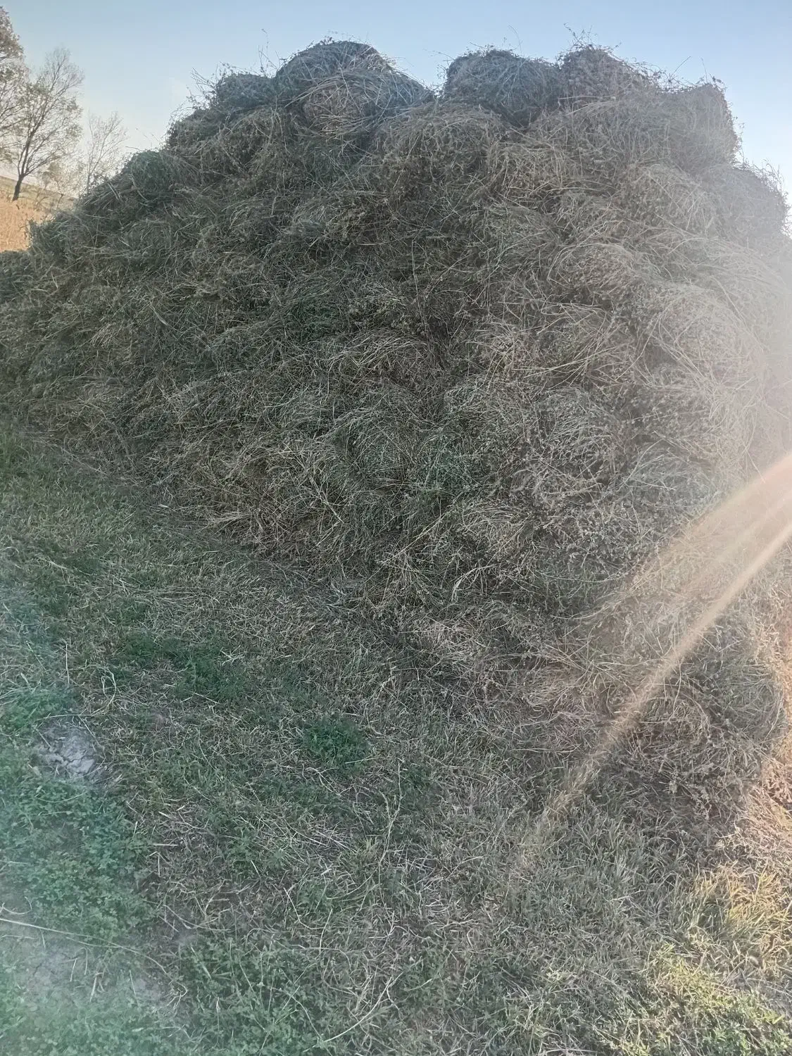 علف یونجه|حیوانات مزرعه|خوی, |دیوار