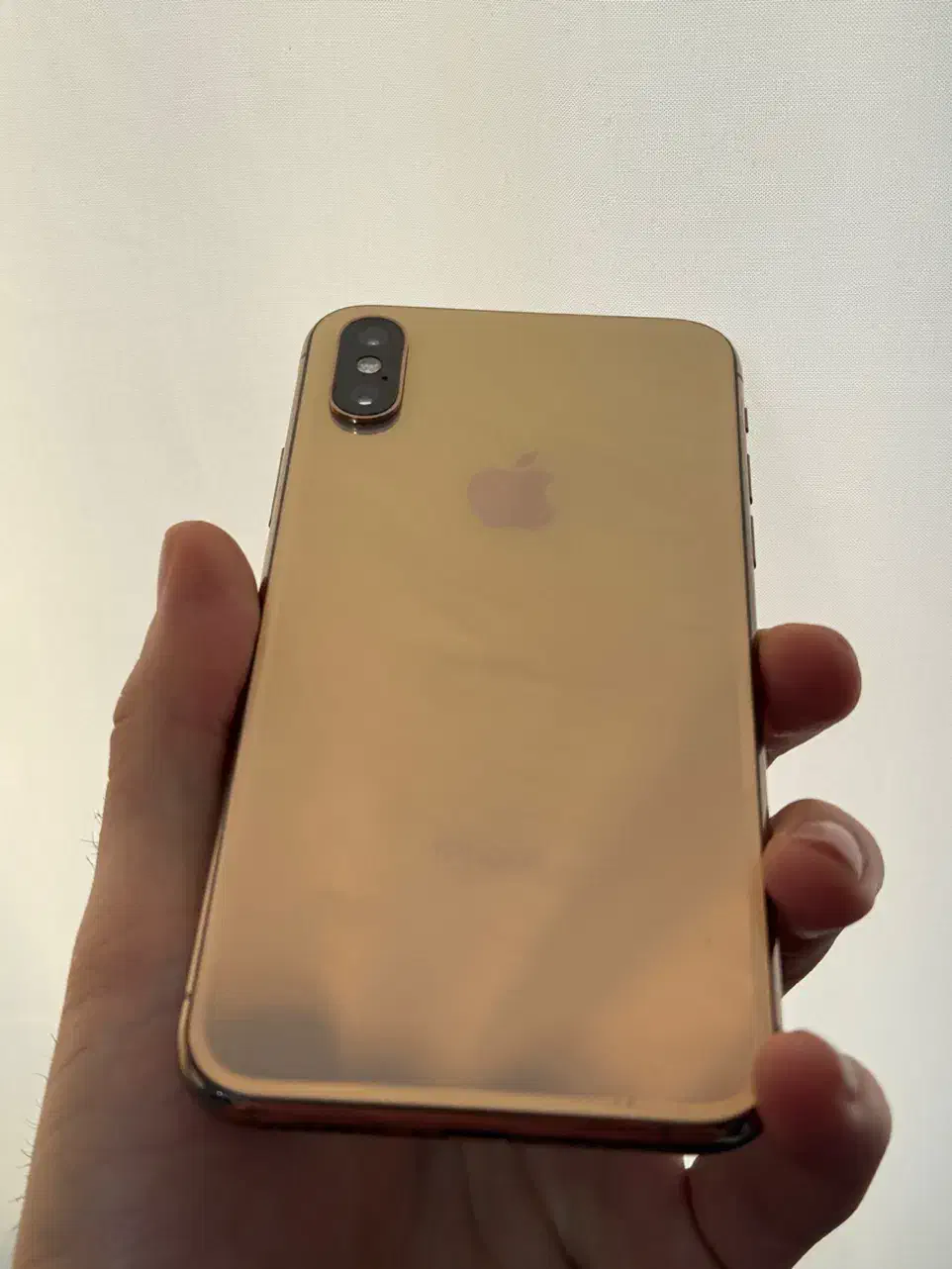 iPhone Xs 256|موبایل|رشت, لاکانی|دیوار