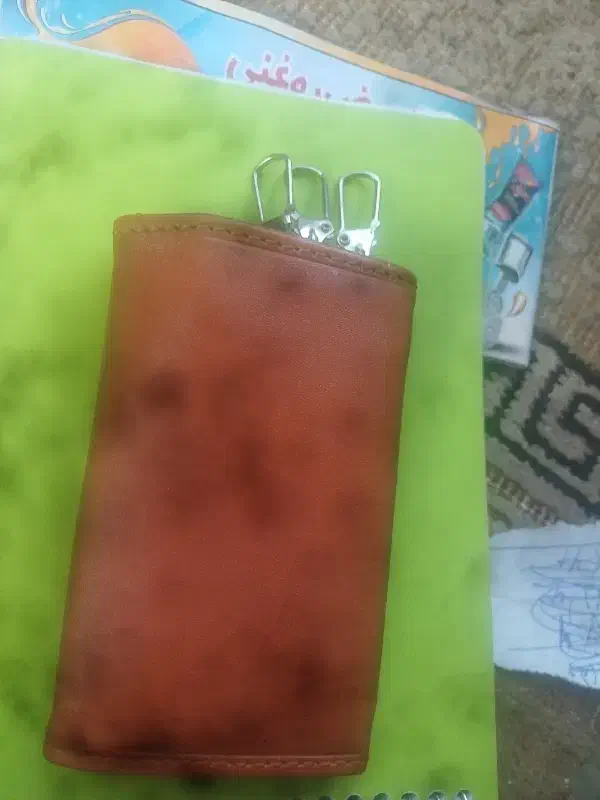 مدارک گم شده|اشیا|خزل, |دیوار