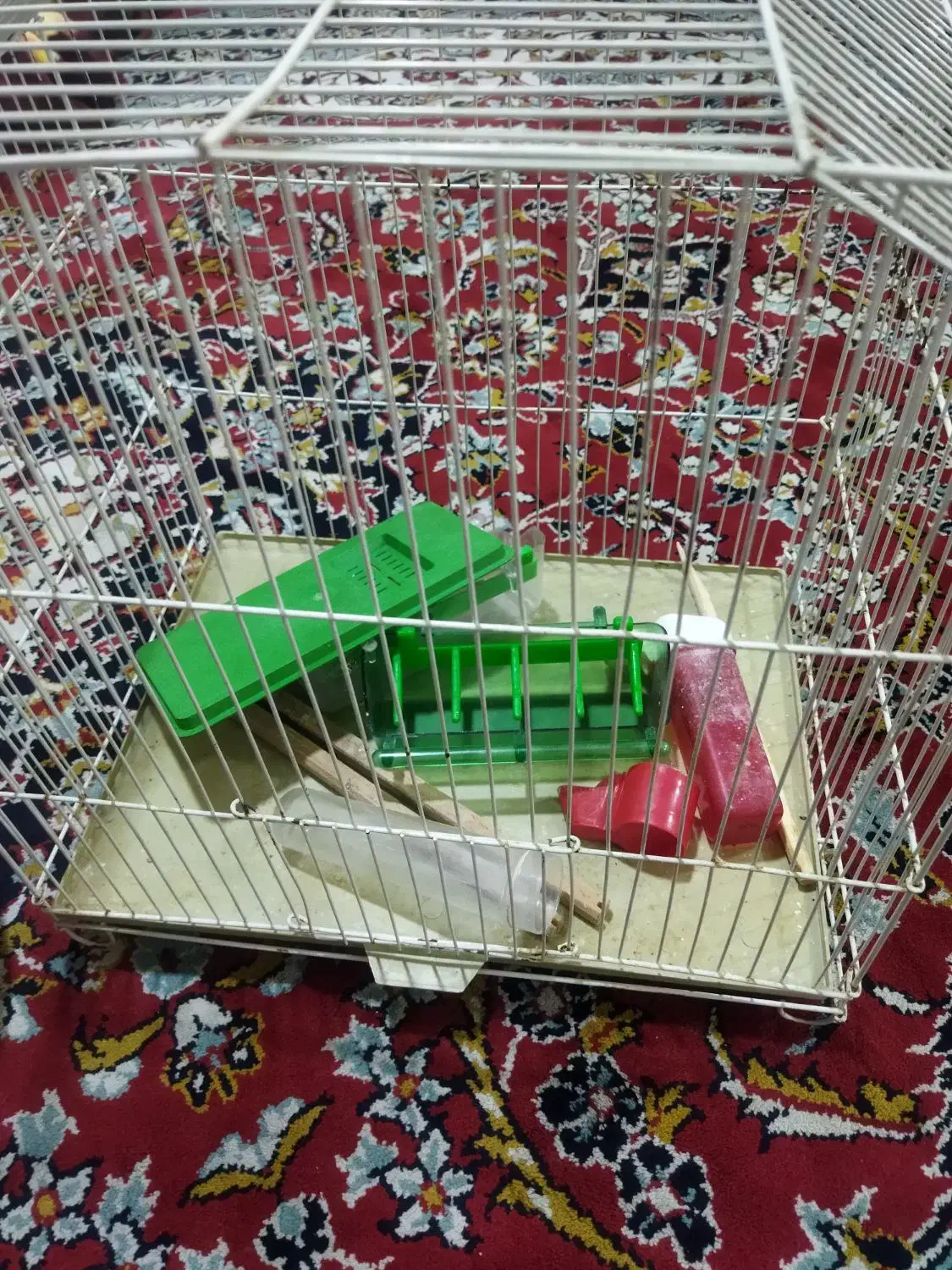 قفس|لوازم جانبی حیوانات|تهران, آبشار|دیوار