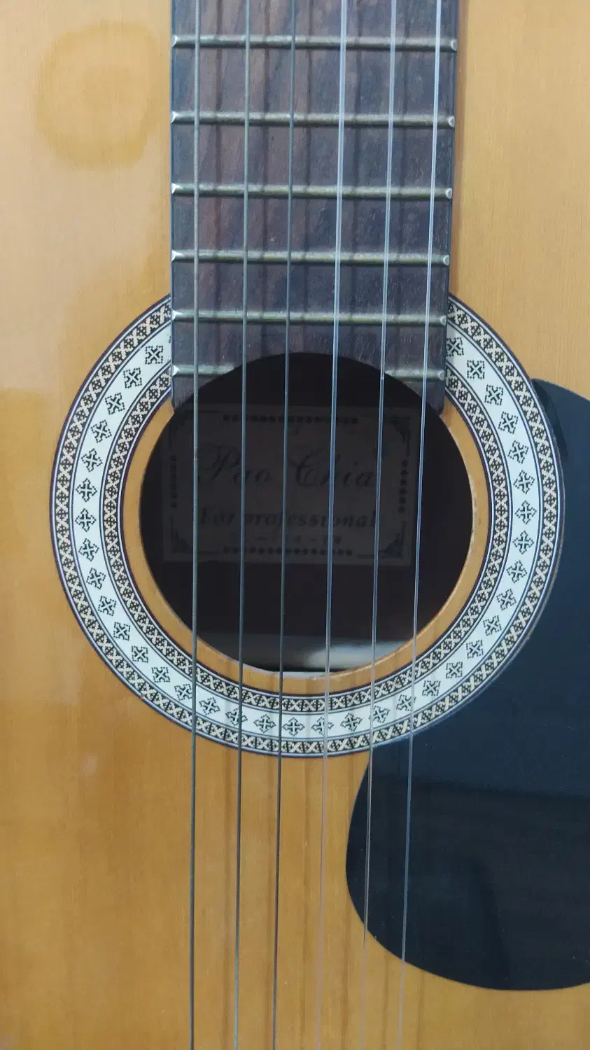 گیتار پائوچیو پروفشنال|گیتار، بیس، امپلیفایر|رامسر, |دیوار