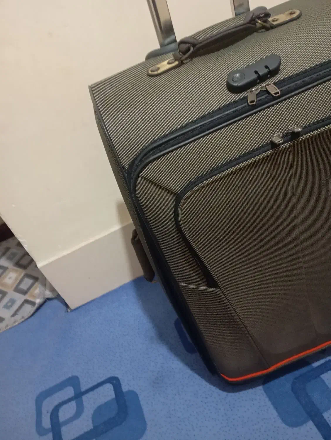 چمدان|کیف، کفش، کمربند|شیراز, کفترک|دیوار