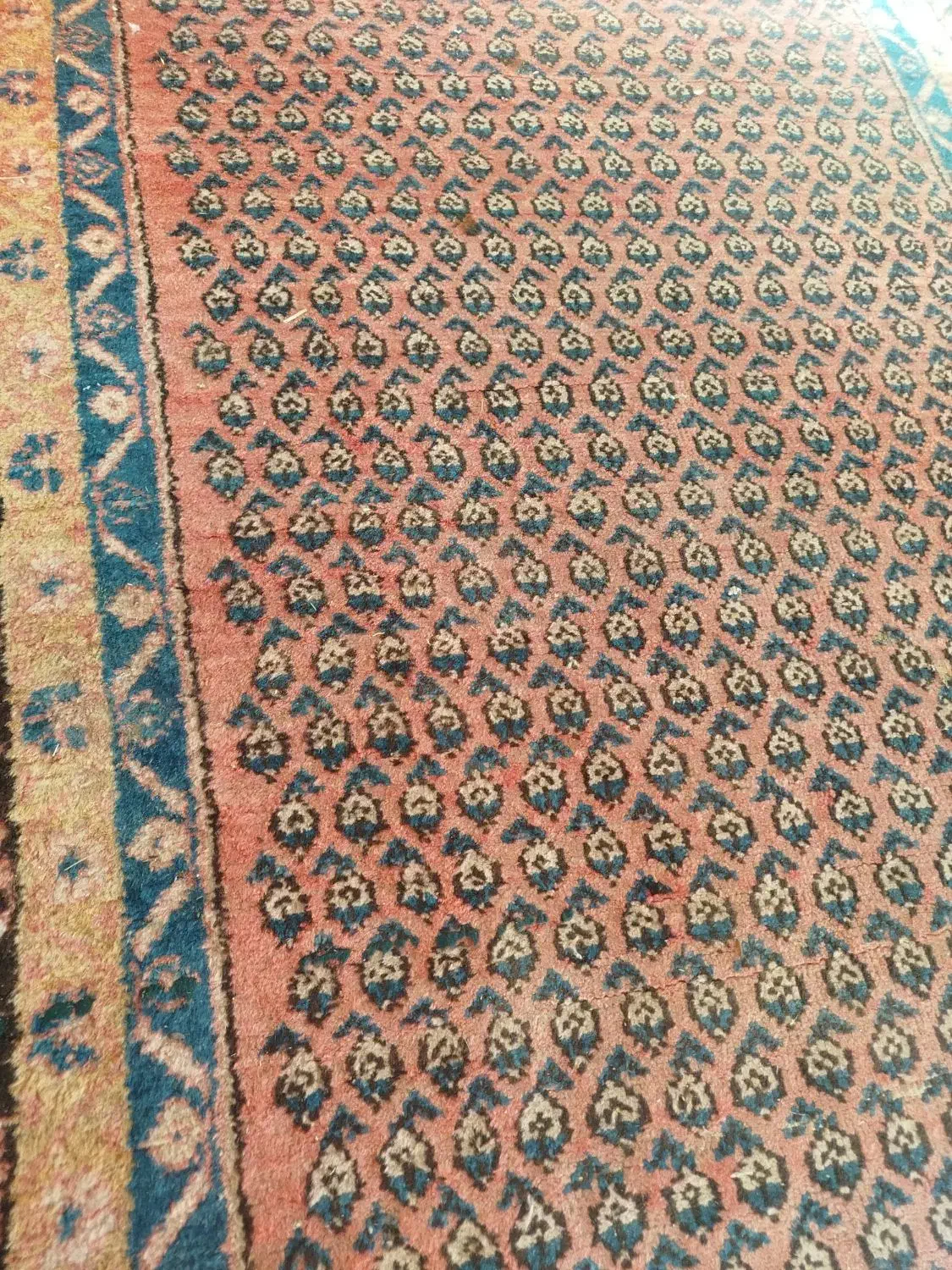 فرش|فرش|شازند, |دیوار