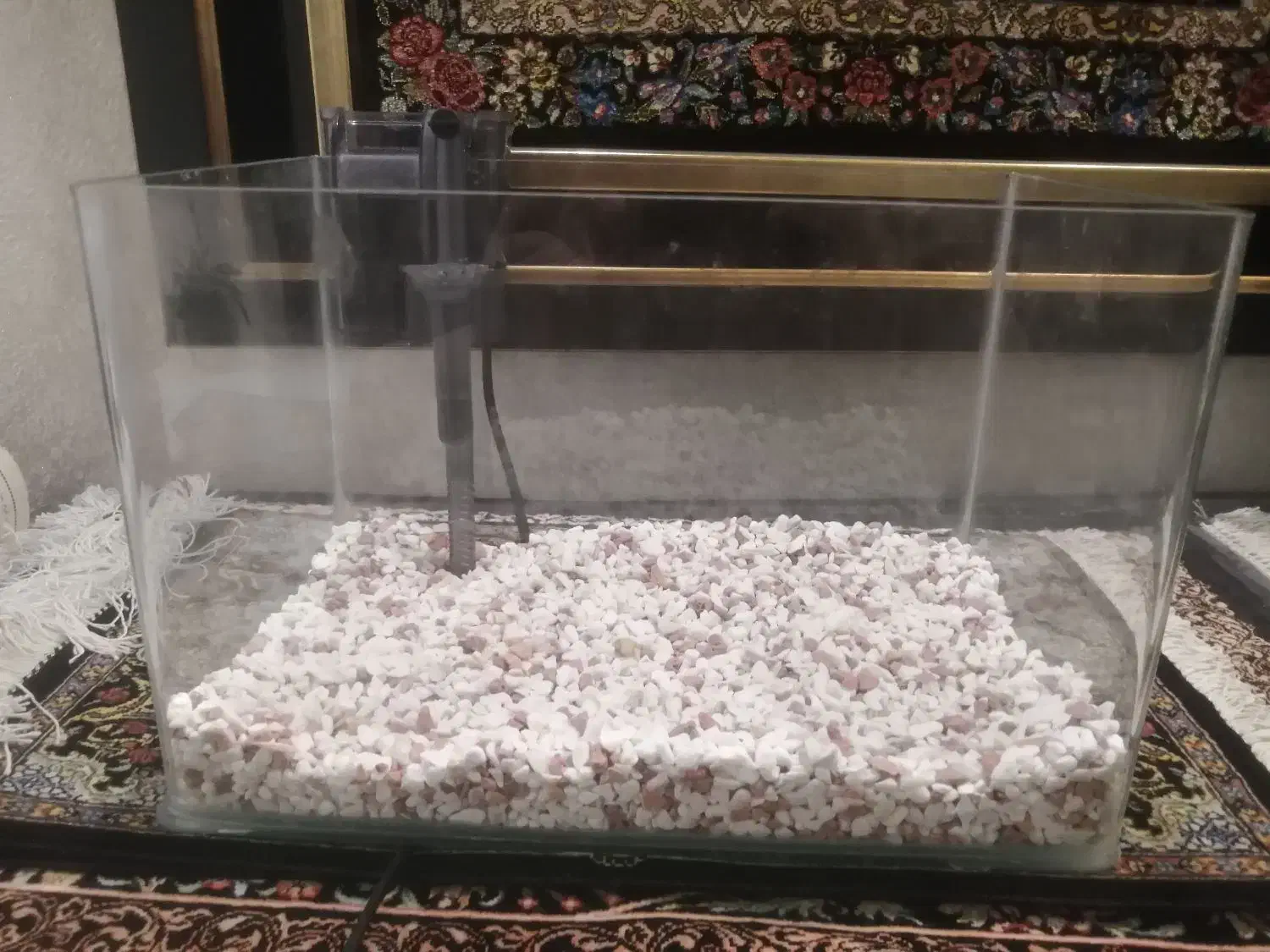 آکواریوم با پمپ|ماهی|قم, پردیسان|دیوار