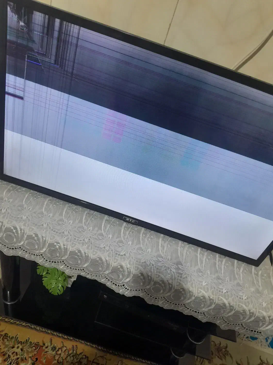 تلویزیون|تلویزیون و پروژکتور|یزد, |دیوار