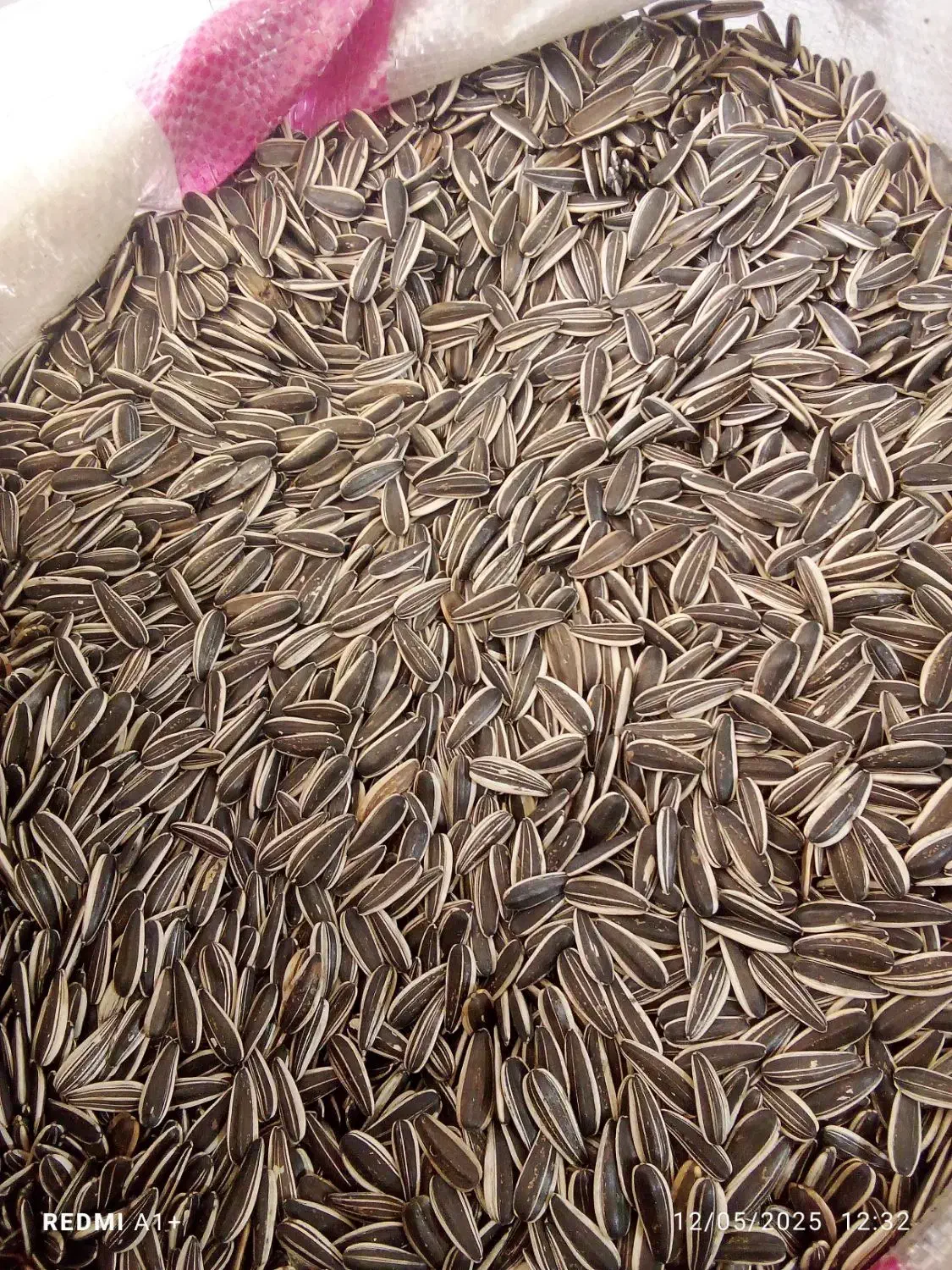 لوبیا تخمه قیمت عمده|خوردنی و آشامیدنی|کرمان, |دیوار