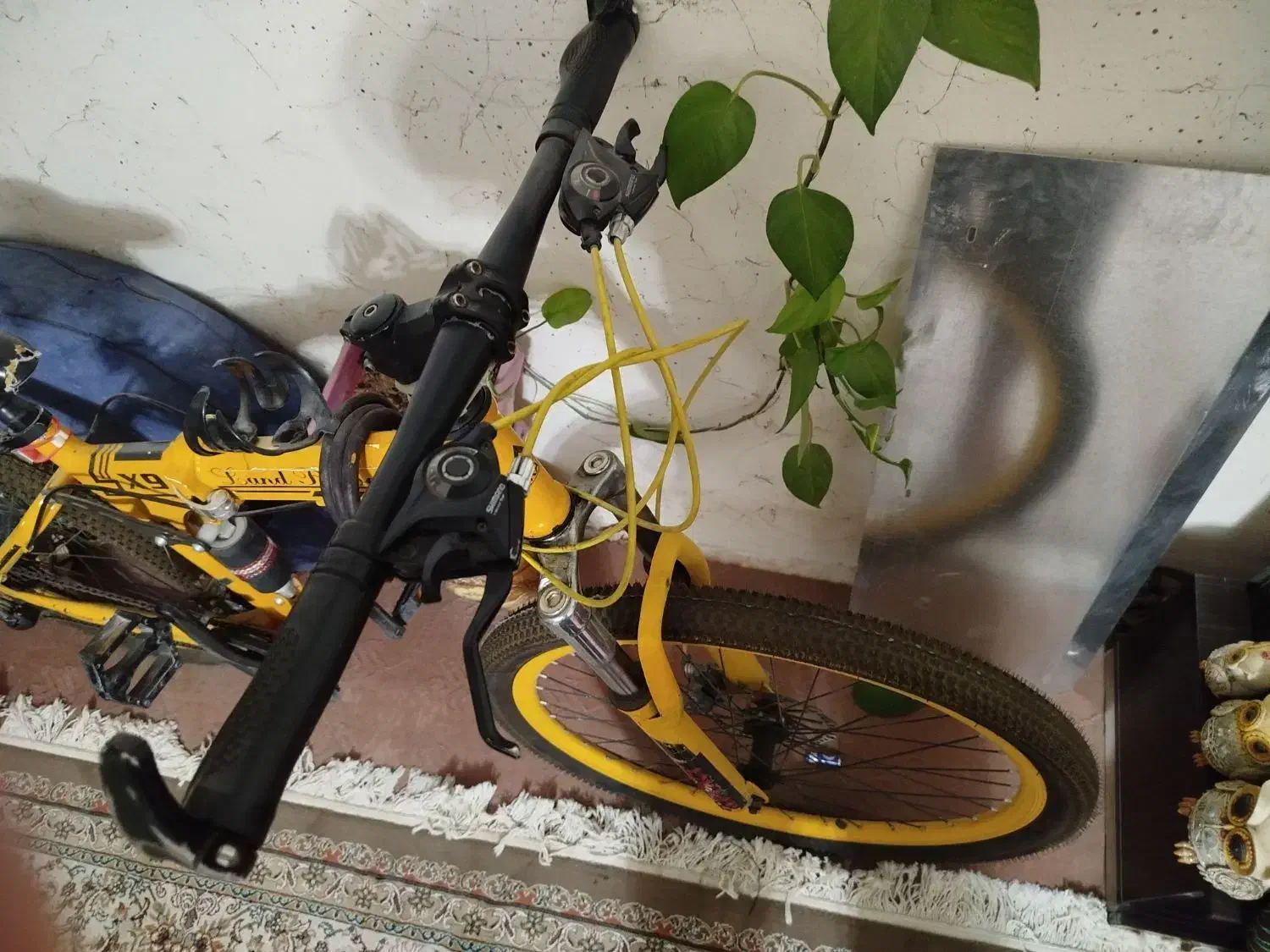 دوچرخه|دوچرخه، اسکیت، اسکوتر|صدرا-فارس, فاز ۲|دیوار