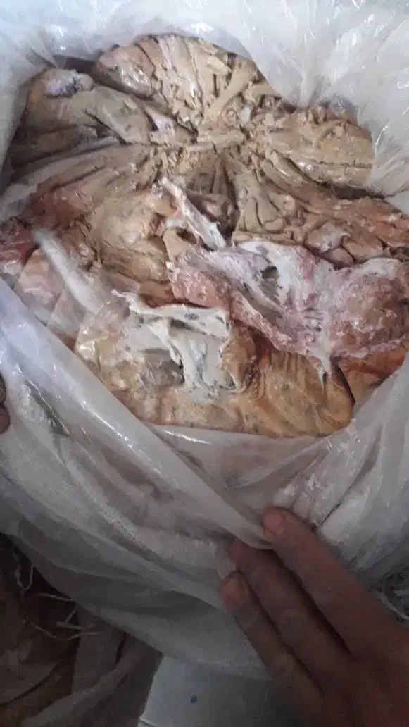 انغوزه خ ریدا ر|خوردنی و آشامیدنی|نیریز, |دیوار