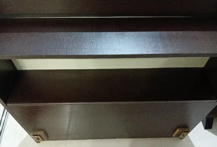 تخت یکنفره|تخت و سرویس خواب|رشت, کاکتوس|دیوار